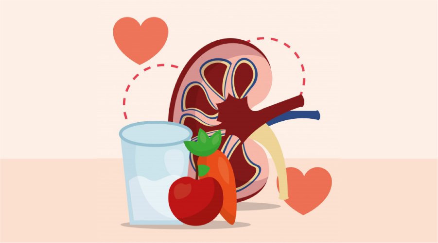 How to Maintain Healthy Kidneys in 2023