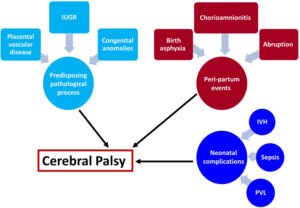 Responsible Parties in Cerebral Palsy
