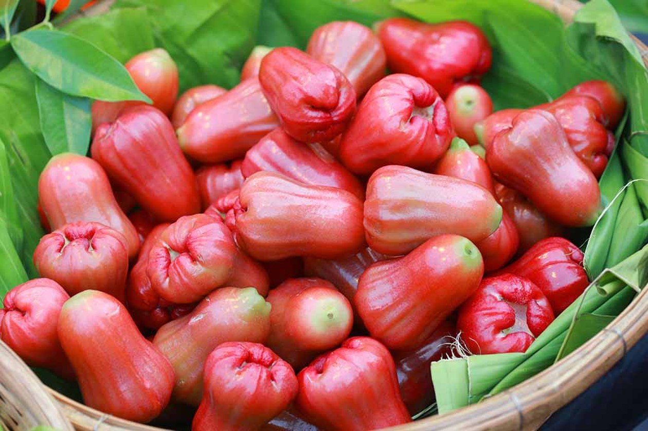 Water Apple for Skin Care