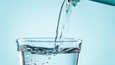 The Value Of Fluid Intake To The Human Body