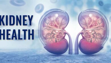 How to Maintain Healthy Kidneys