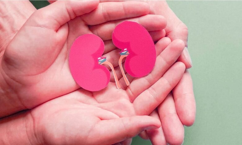 9 Healthy Habits for Kidneys in 2023