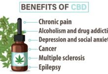 13 Best Benefits of Using CBD