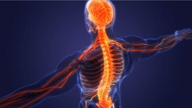 Exploring Spinal Disorders in 2023