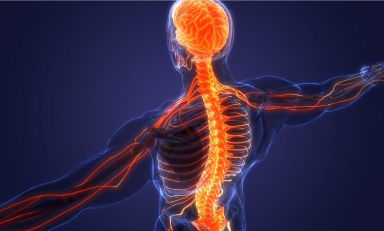 Exploring Spinal Disorders in 2023