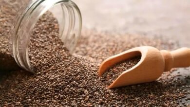 Use Chia Seeds for Weight Loss in 2023